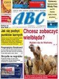 ABC 