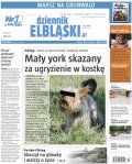 Dziennik Elbląski