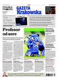 Polska Gazeta Krakowska