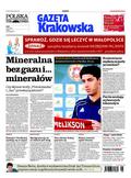 Polska Gazeta Krakowska