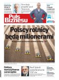 Puls Biznesu