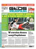 Polska Głos Wielkopolski