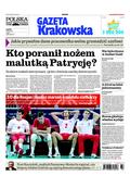 Polska Gazeta Krakowska
