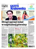 Polska Gazeta Krakowska