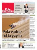 Puls Biznesu