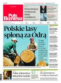 Puls Biznesu