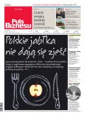 Puls Biznesu