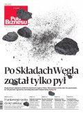 Puls Biznesu