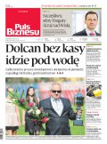 Puls Biznesu