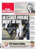 Puls Biznesu