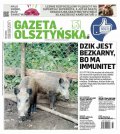 Gazeta Olsztyńska