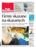 Puls Biznesu