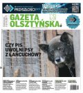 Gazeta Olsztyńska