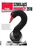 Puls Biznesu