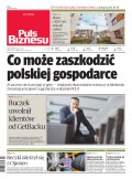 Puls Biznesu