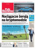 Puls Biznesu